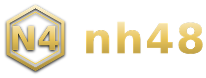 nh48 logo